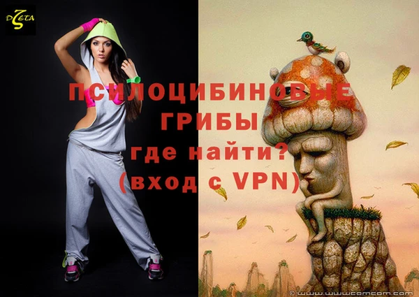 меф Каменногорск