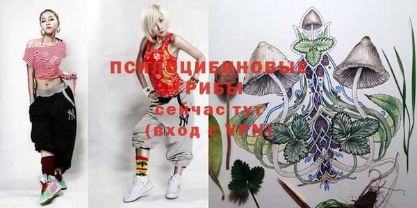 кристаллы Каменка