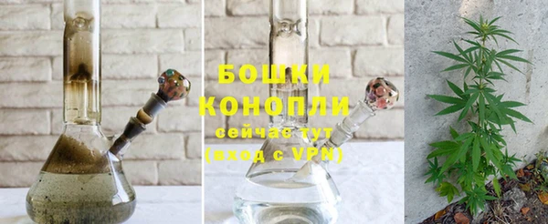 PSILOCYBIN Каменск-Шахтинский