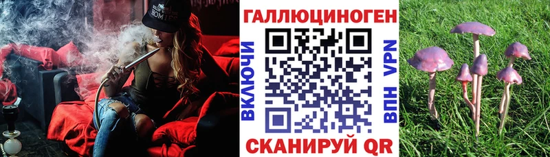 Купить  Абдулино  Псилоцибиновые грибы GOLDEN TEACHER 